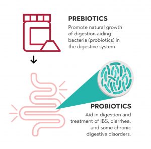 Confused about Prebiotics? This will Help!